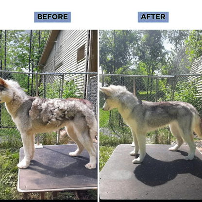 FurVac V-2 Pro